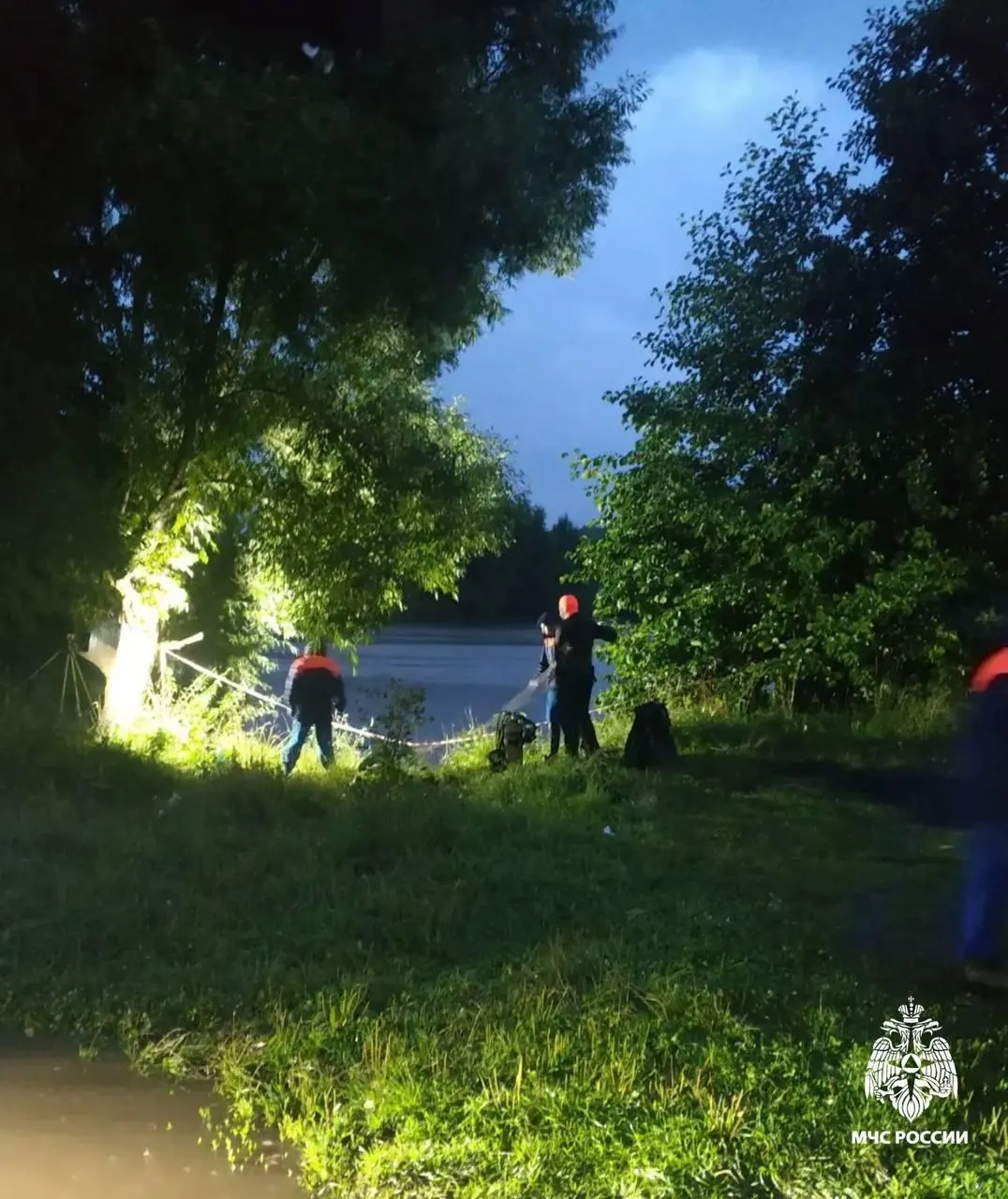 В Подмосковье мальчик утонул, пытаясь достать мяч в пруду; обстоятельства инцидента устанавливаются.