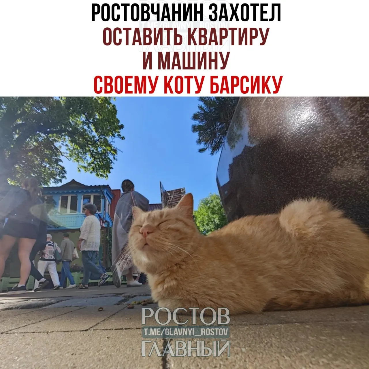 72‑летний ростовчанин пытался оставить своё имущество коту Барсику, но нотариус разъяснил, что животное не может быть наследником; можно включить в завещание обязанности наследников и назначить ответственного за уход.
