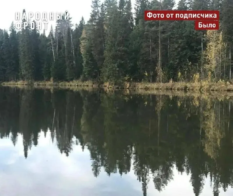 После прорыва дамбы в конце мая искусственное озеро в поселке Мирный обмелело — общественные активисты просят проверить причины, оценить экологический ущерб и обязать восстановить гидротехническое сооружение.