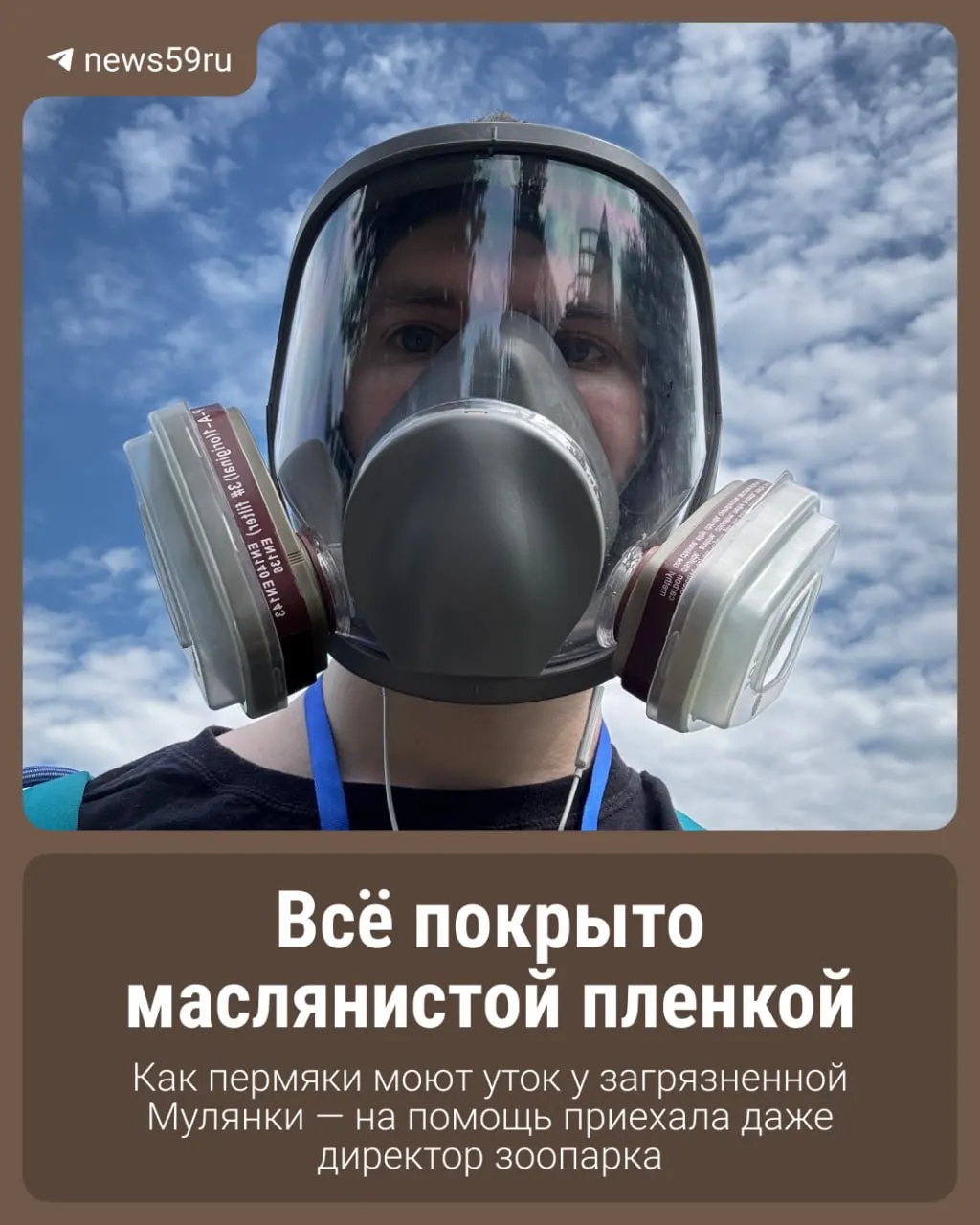 Реки в Пермском крае покрылись масляной плёнкой, птицы окрасились неизвестным веществом. На берегу организовали штаб помощи — волонтёры, владельцы базы отдыха и директор зоопарка отмывают и спасают животных.