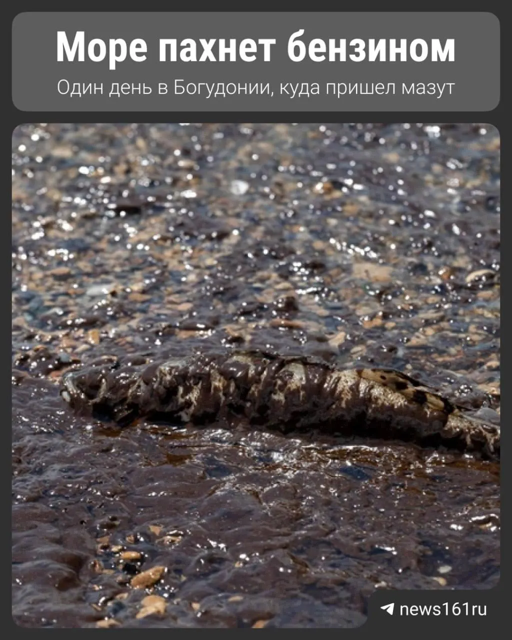 В ночь на 11 июля в Таганрогском заливе произошёл инцидент с танкерной группой — на берег начали выбрасывать нефтепродукты. Волонтёры собрали тонны мазута, а пляжи продолжают покрываться новыми пятнами.