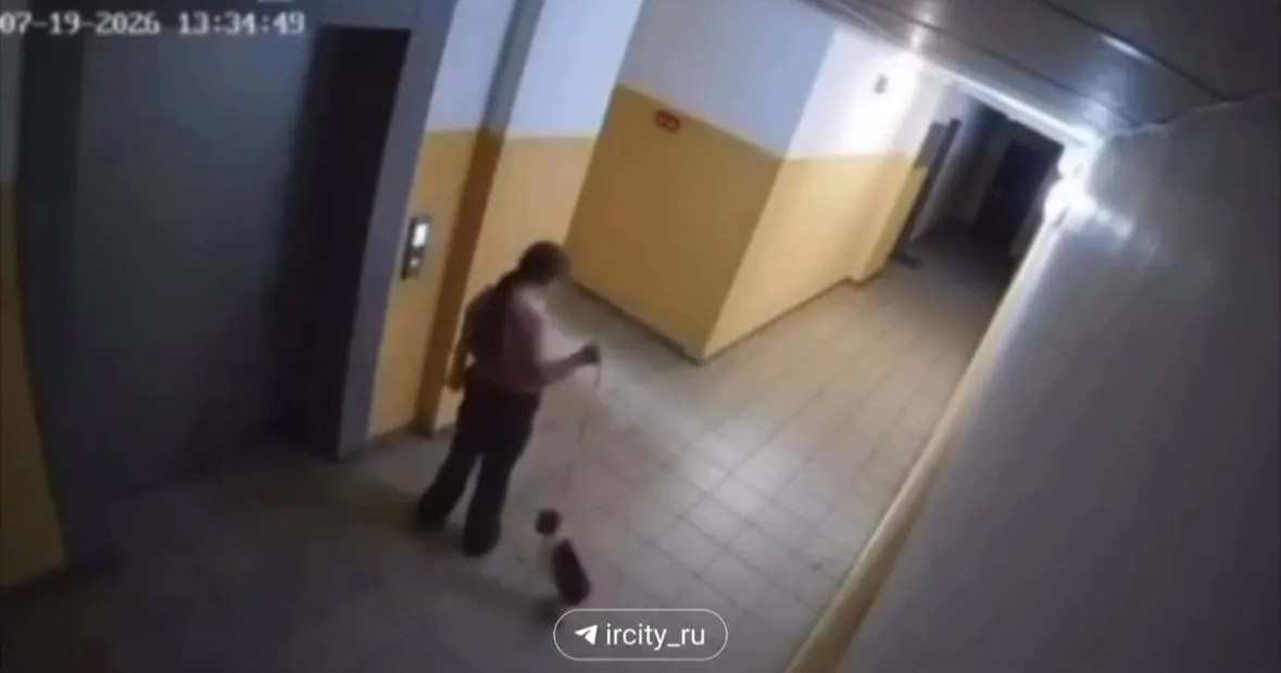 В подъезде микрорайона Угольщиков сняли, как девушка держит кошку на поводке и несколько раз ударяет её о стену. Правоохранители устанавливают личность и проводят проверку.