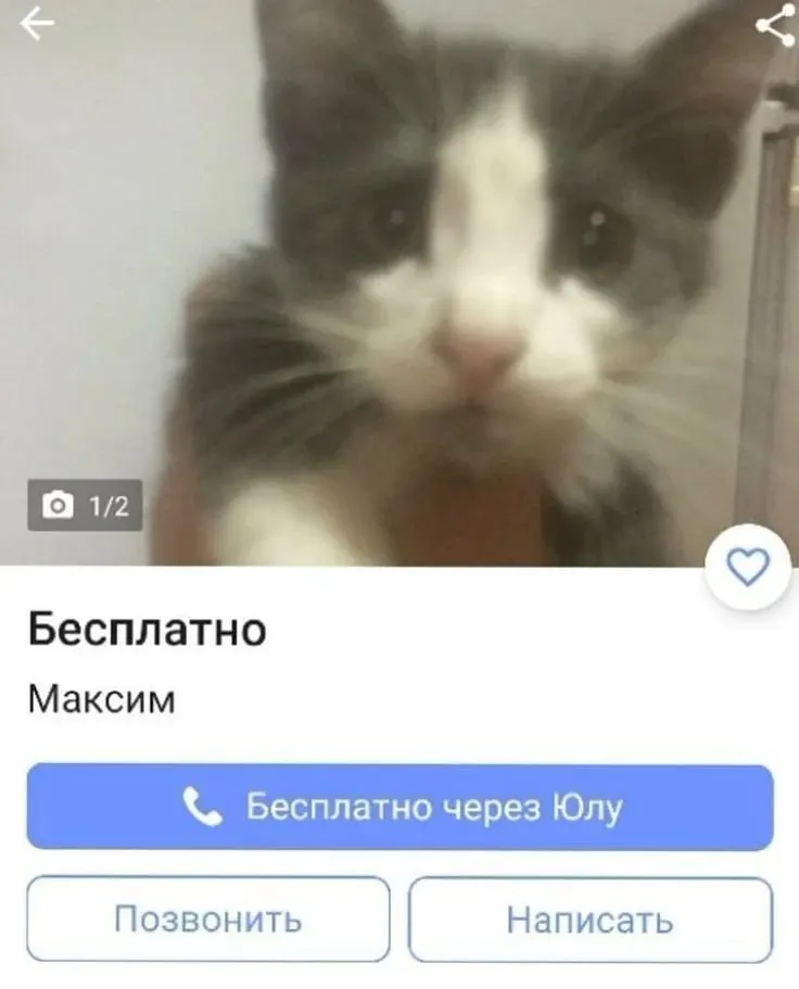 После нескольких лет в лидерах имя Максим опустилось на 6-е место в 2026 году — в пятёрке теперь появилось имя Марк.