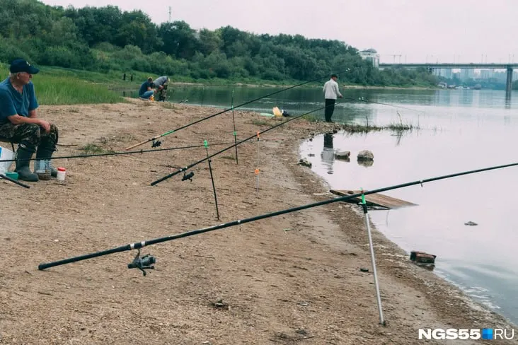 В Муромцевском районе на озере утонул 40‑летний житель соседнего села — по предварительным данным, он находился в состоянии алкогольного опьянения и поскользнулся, пытаясь вытащить сети.