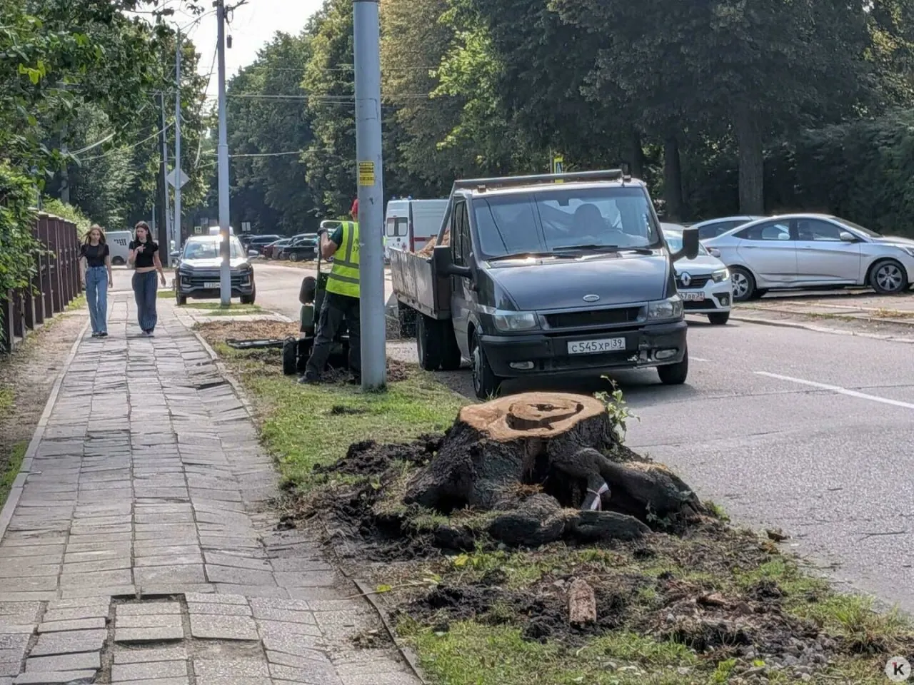Специальная комиссия рекомендовала в 2024 году санитарную рубку деревьев на проспекте Победы. Работы продолжаются: на месте видны прогнившие стволы и оставшиеся пни. Компенсационное озеленение планируют не раньше осени 2027 года.