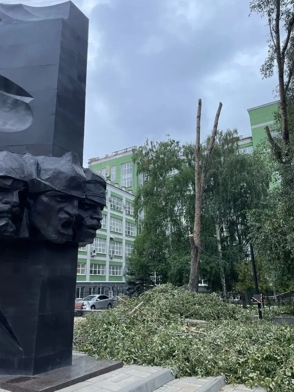 Жители заметили обрезку зелёных деревьев и спил одного растения на перекрёстке Красноармейской и Чапаевской. В мэрии заявили, что одно дерево было аварийным, остальные — подлежали кронированию, работы проведены по правилам благоустройства.