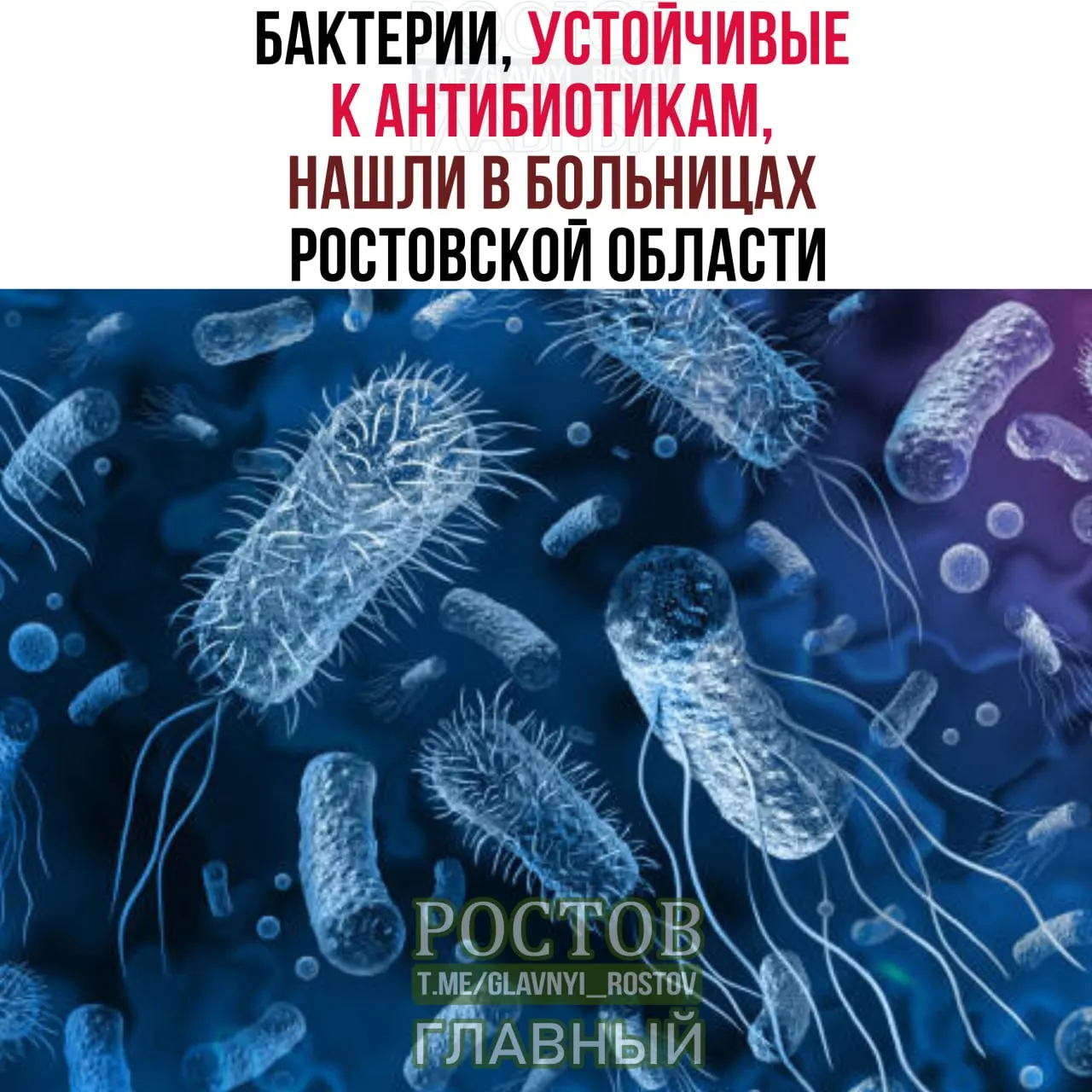 13‑летнее исследование показало рост устойчивости Pseudomonas aeruginosa, Stenotrophomonas maltophilia и Acinetobacter baumannii в стационарах региона и увеличение их способности образовывать биопленки.