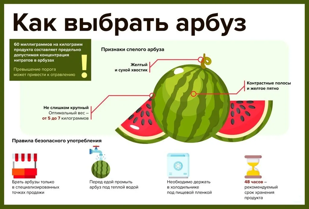 Специалисты советуют покупать арбузы в магазинах, на организованных рынках или в точках у бахчевых полей: у уличных продавцов часто нет санитарного контроля, и плоды могут лежать прямо на земле.