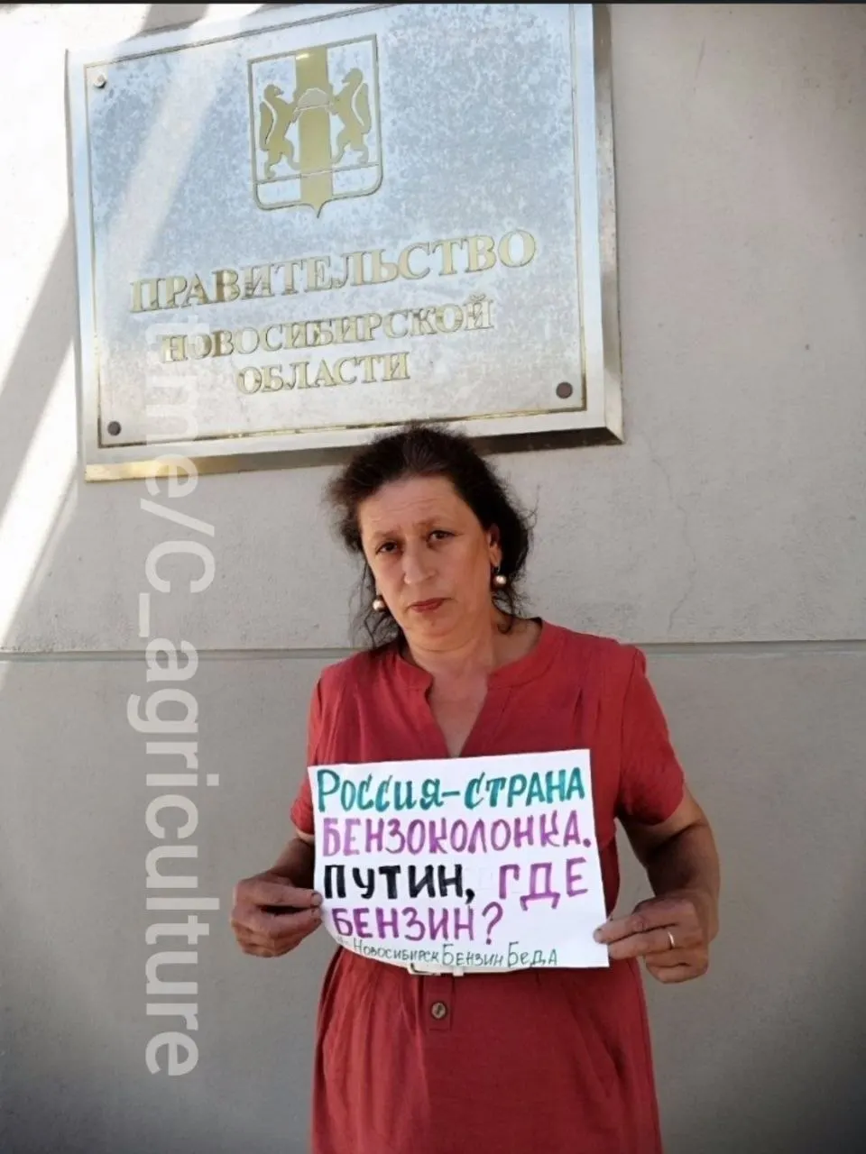 У здания правительства Новосибирской области горожанка вышла с плакатом о топливном кризисе на фоне перебоев с поставками и доступностью автомобильного топлива.