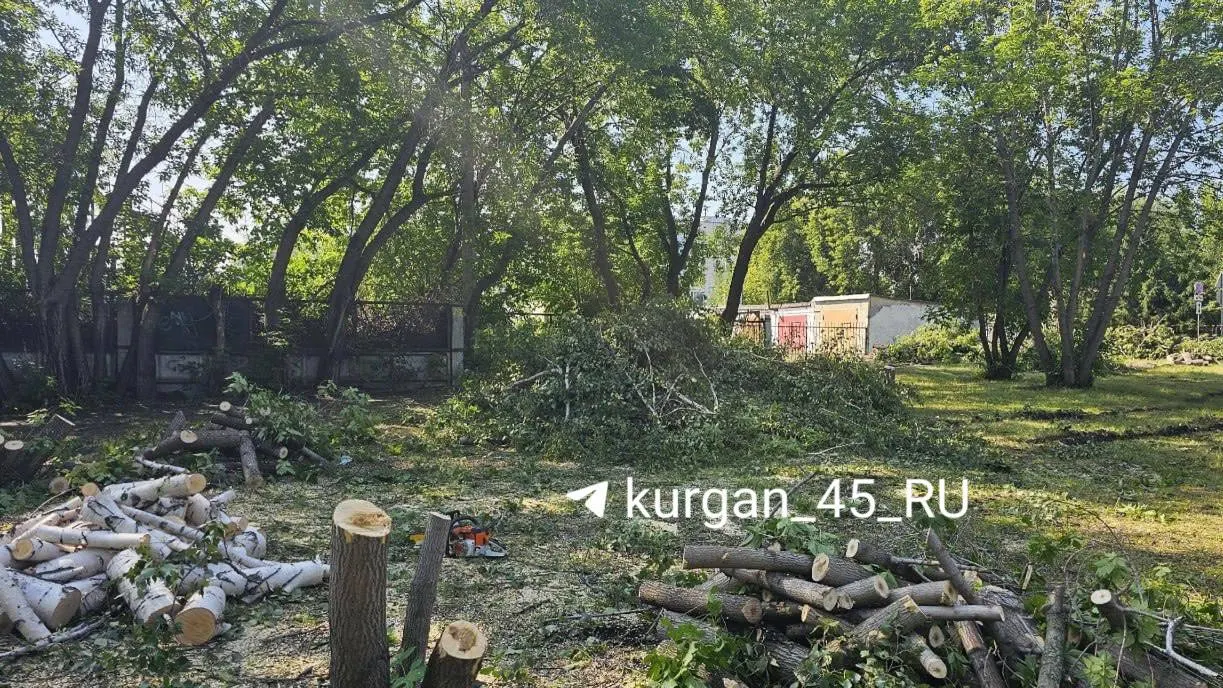 В парке между домом на Карельцева, 111А и павильоном «Птичье царство» подрядчики очищают территорию до линии гаражей; назначение участка пока неизвестно, в администрацию города направлен запрос.