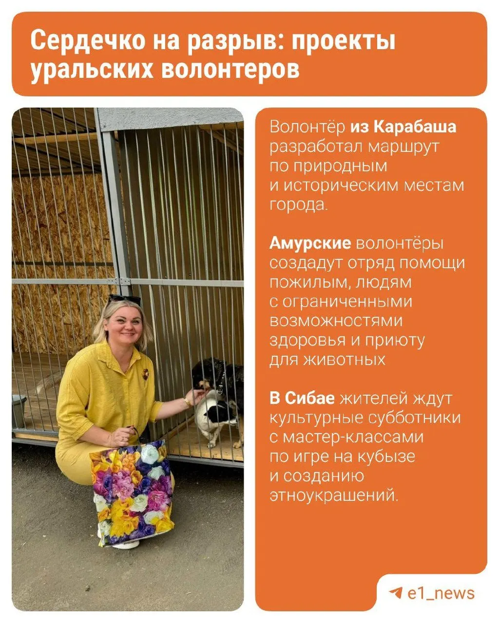 Жители Алапаевска объединились вокруг спасения животных: из одного найденного ящика с котятами выросла сеть передержек, где сейчас живут более 100 кошек и собак.