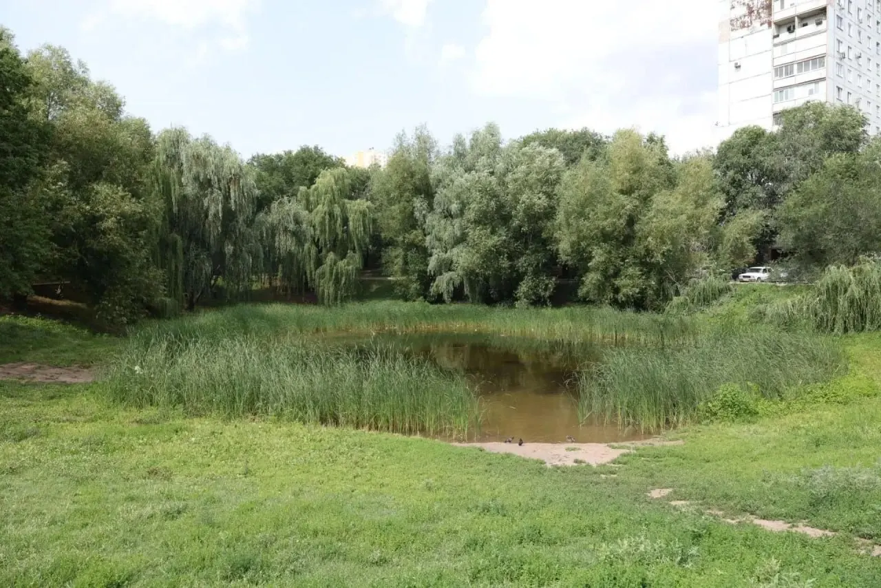 Водоём в сквере на пересечении Стара‑Загора и Димитрова высох к 2025 году — власти планируют самостоятельно расчистить и восстановить его.