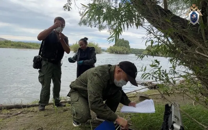 Судебно-медицинские экспертизы не выявили признаков насилия; предварительная причина смерти — утопление. Тела опознаны родителями.