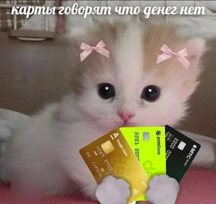 В опросе 2 000 россиян молодые специалисты 18–24 лет в Карелии назвали желаемый стартовый доход 83 422 руб. в месяц; по Северо‑Западу и Карелии средняя ожидаемая сумма составляет 104 913 руб.