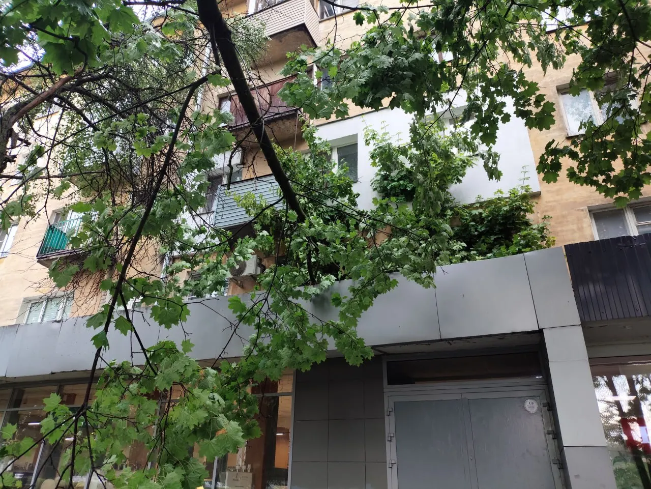 После урагана в нескольких районах Нижнего Новгорода на улицах остались поваленные и зависшие деревья. Жители жалуются на отсутствие реакции со стороны коммунальных служб.
