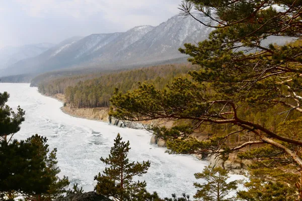 С середины июля островитяне жалуются, что их перестали пропускать на паромы вне очереди: из‑за туристического наплыва и работы не всех паромов люди проводят в ожидании до суток, конфликт на переправе завершился приостановкой движения и задержаниями.