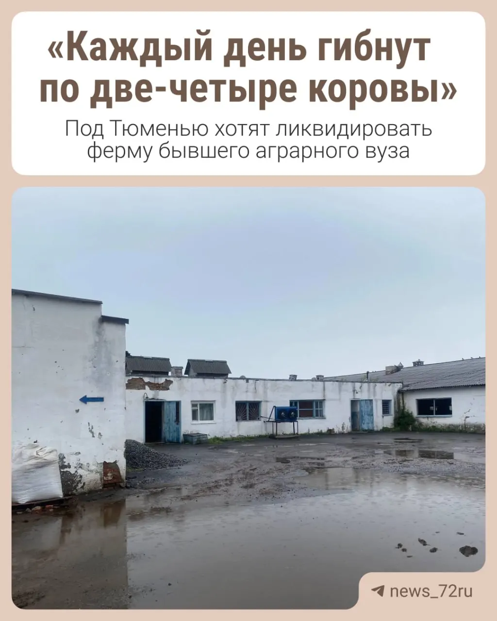 В учебно-опытном хозяйстве бывшего аграрного вуза близ Тюмени могут полностью прекратить животноводство: сотрудники увольняются, на содержание животных не хватает средств, решение уже фактически принято.