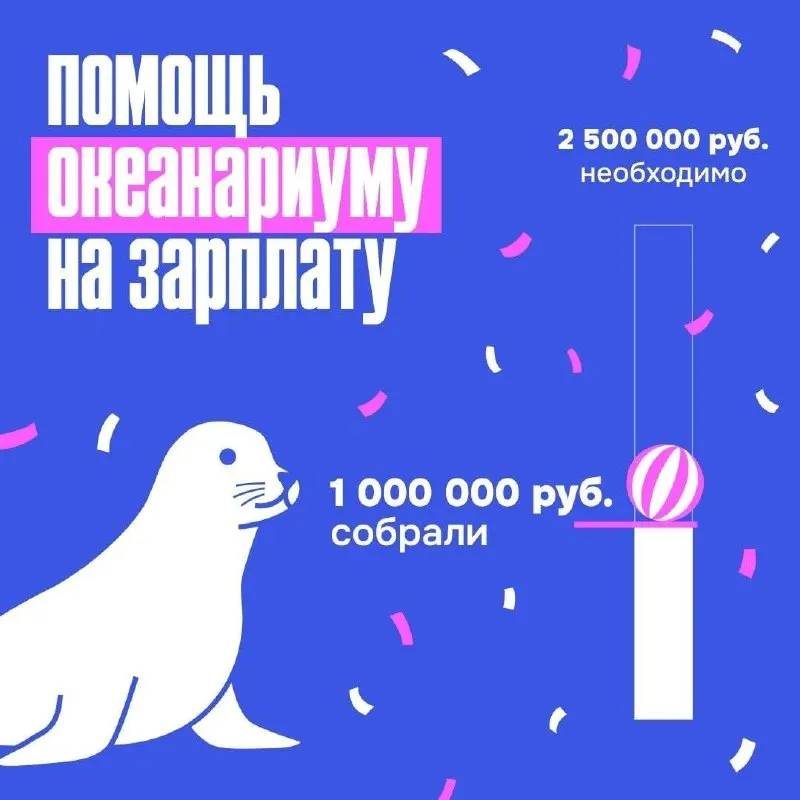 Чиновники, депутаты и неравнодушные жители откликнулись на призыв — в фонд мурманского океанариума поступило чуть более 1 млн рублей.