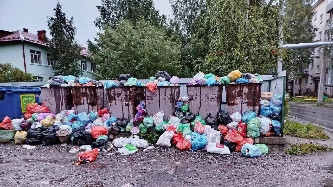 Местные сообщают о редком вывозе отходов и переполненных контейнерах. Регоператор объясняет задержки поломками техники и обещает перерасчёт для жителей.