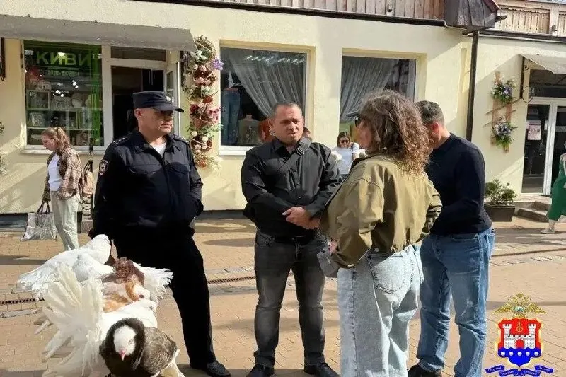 Полиция прекратила деятельность женщины, которая предлагала платные фото с голубями без регистрации предпринимательства; птиц передали зоозащитникам, в отношении нарушительницы составили протокол.