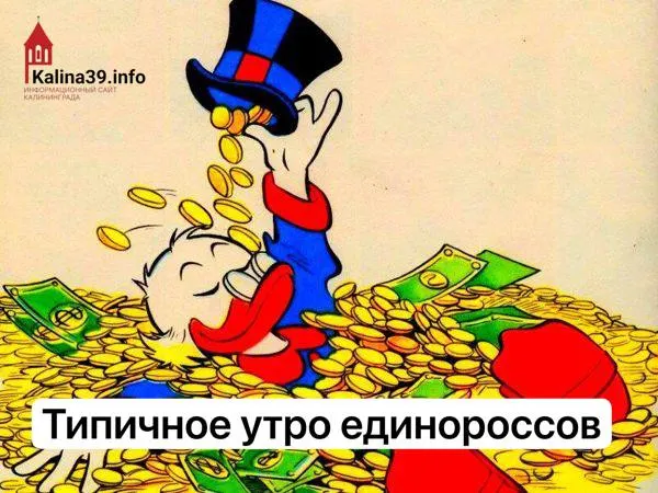 Декларации кандидатов от «Единой России» в Калининградской области показывают годовые доходы до 35,93 млн руб. — в десятки раз выше средних зарплат региона; в отчетах также упомянута дорогая недвижимость и многомиллионные вклады.