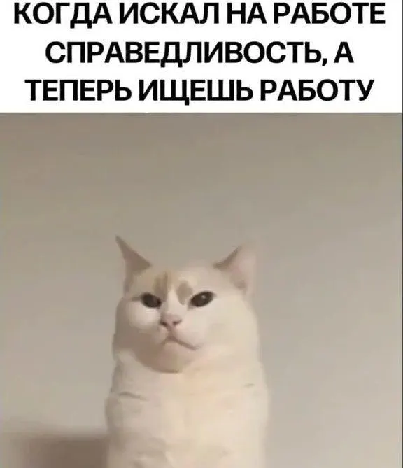 Опрос жителей Саратова показал, что наиболее частая жалоба на руководителей — агрессия; при этом фаворитизм и несправедливость особенно раздражают сотрудников.