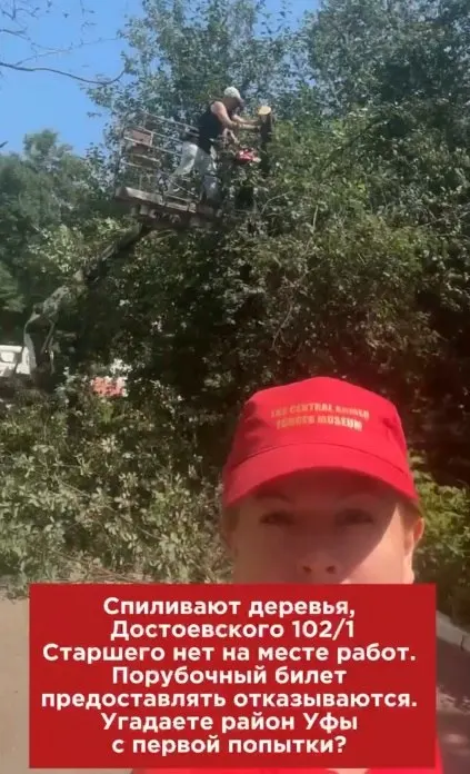 У дома на улице Достоевского мужчина, занятый спилом, отказался предъявить разрешение. Разбираемся, в каких случаях порубочный билет обязателен по закону.
