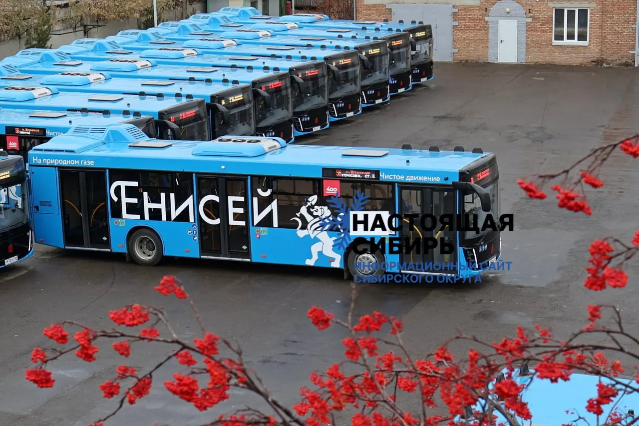 Правительство края внесло поправки: взрослым предлагают штрафы 2–2,5 тыс. ₽ (при повторном нарушении — 4–5 тыс. ₽), детям — 1–2 тыс. ₽ (повторно 2–3 тыс.). Повышение связывают с переходом на бескондукторную оплату.