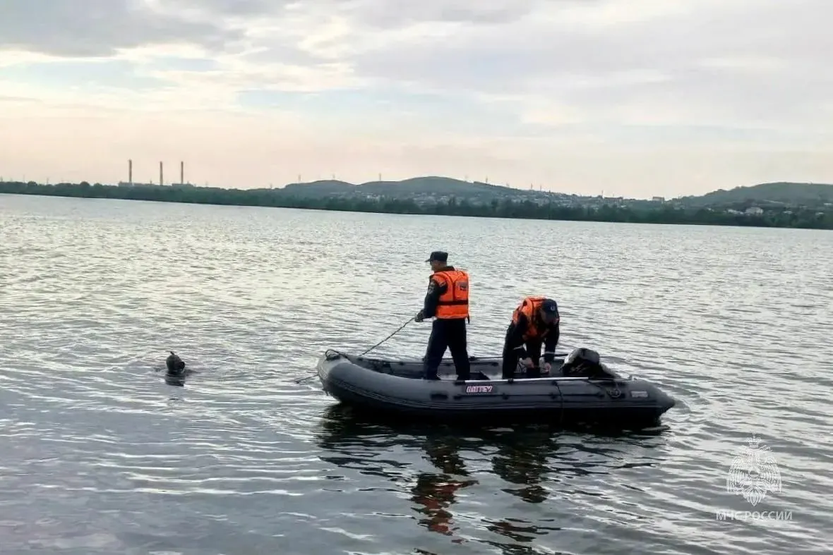 Тело ребёнка обнаружили в нескольких метрах от берега; спасатели подняли его с глубины и передали полиции. Семье направлен психолог, обстоятельства происшествия устанавливаются.
