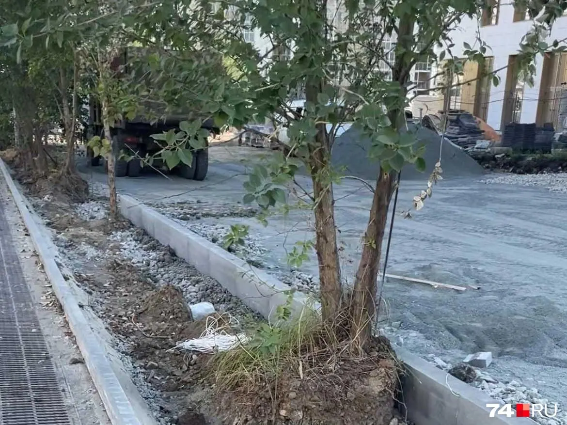 Жители Челябинска жалуются, что при благоустройстве территории возле стройки кампуса газоны отрезали, а деревья засыпали щебнем и залили бетоном; администрация обещает восстановить газон и потребовать пересадки новых деревьев у подрядчика, если текущие погибнут.