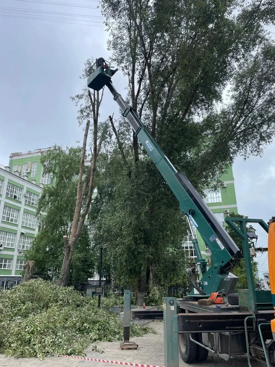Возле перекрёстка Красноармейской и Чапаевской в Самаре заметили вырубку и обрезку деревьев. Местные жители возмущены и просят выяснить законность работ. В администрации заявили, что одно дерево было аварийным, остальные — под кронирование.