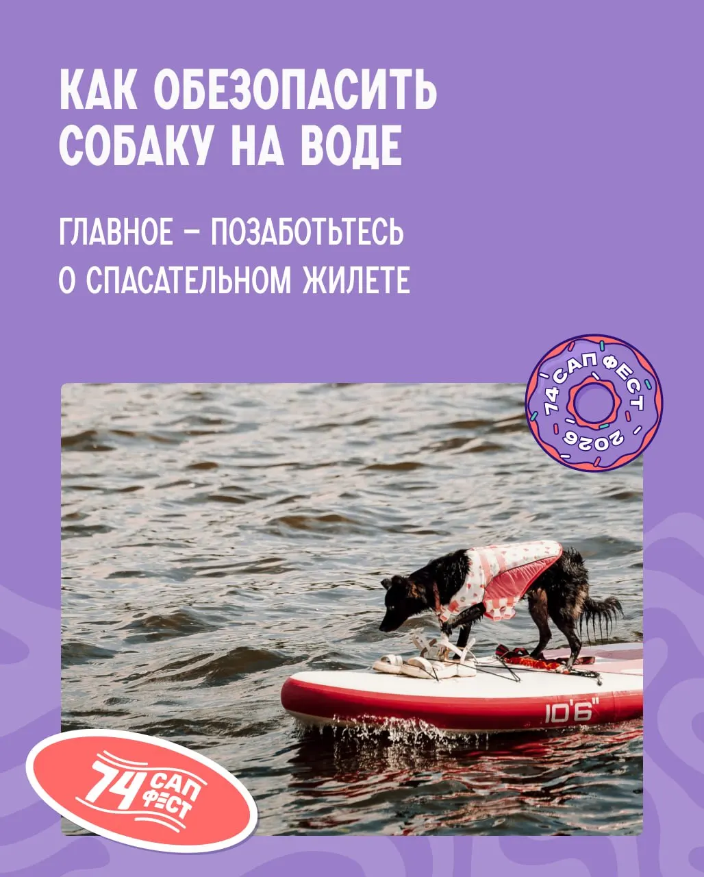 Короткие рекомендации по безопасности собак на воде: спасательный жилет, осторожность с щенками и породами, а также правила обучения плаванию и чего избегать.