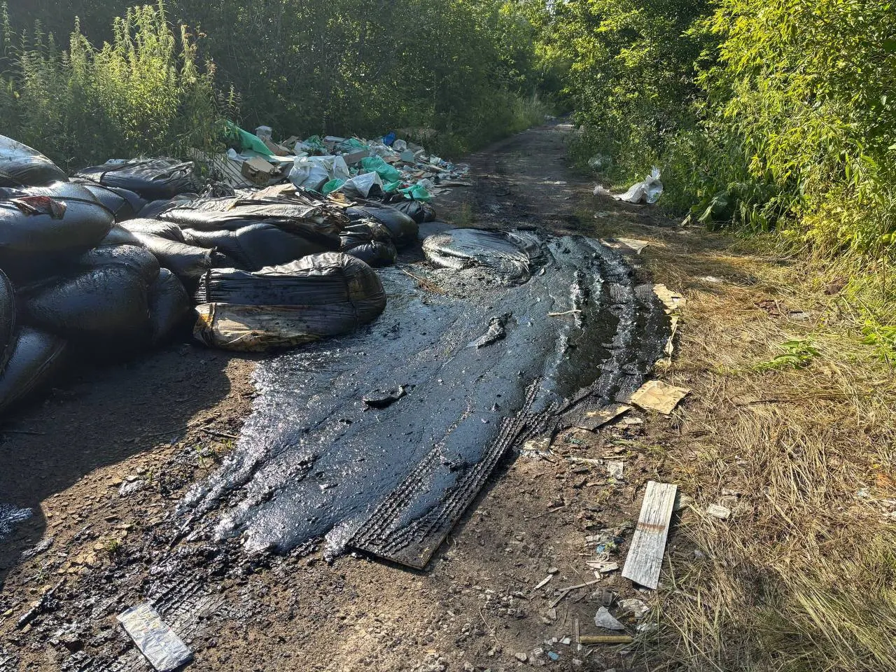 На дороге под ЛЭП в Ленинском округе у озера Чередового обнаружена стихийная свалка: мешки с битумом, строительный мусор и останки свиней. Жители просят проверить место и организовать уборку.
