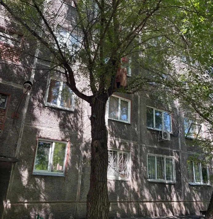Мужчина выпрыгнул из окна четвёртого этажа и повис на дереве; спасатели сняли его лестницей и передали медикам. Полиция выясняет обстоятельства.