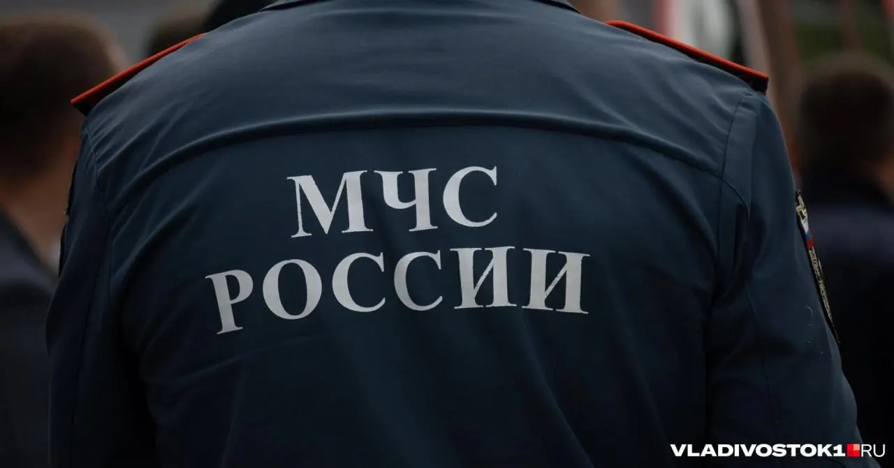 В реестр лиц, уволенных в связи с утратой доверия, занесён бывший инспектор надзорной деятельности Максим Флягин.