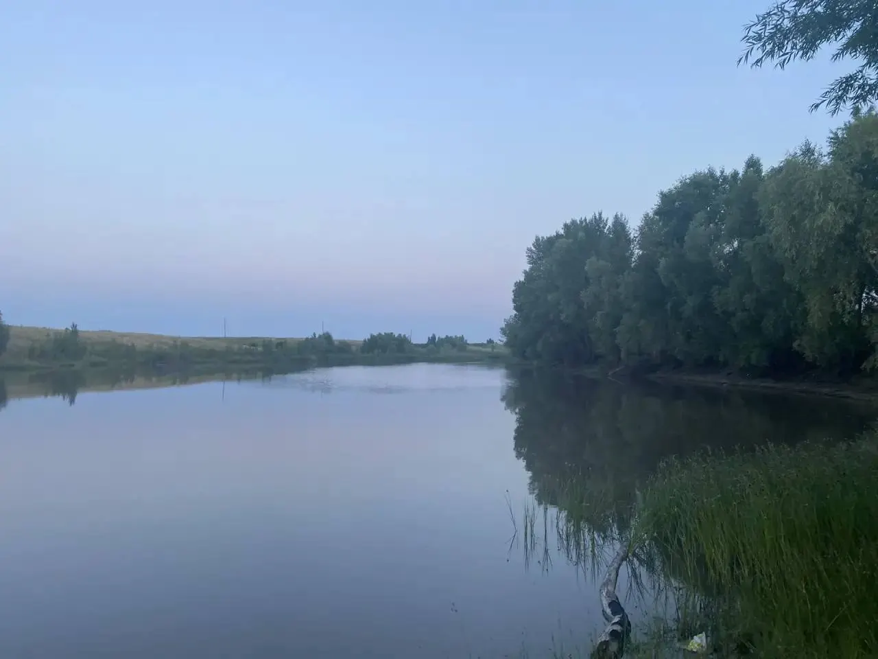 В водоёме у села Малиновка в Аркадакском районе обнаружено тело 11‑летней девочки. Следователи осматривают место происшествия, возбуждено дело по статье 109 УК РФ.