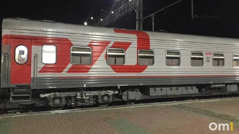 За шесть месяцев по Западно-Сибирской железной дороге отправили около 16 тыс. животных — в том числе 8,5 тыс. собак и 6 тыс. кошек. Среди пассажиров были и экзотические питомцы.