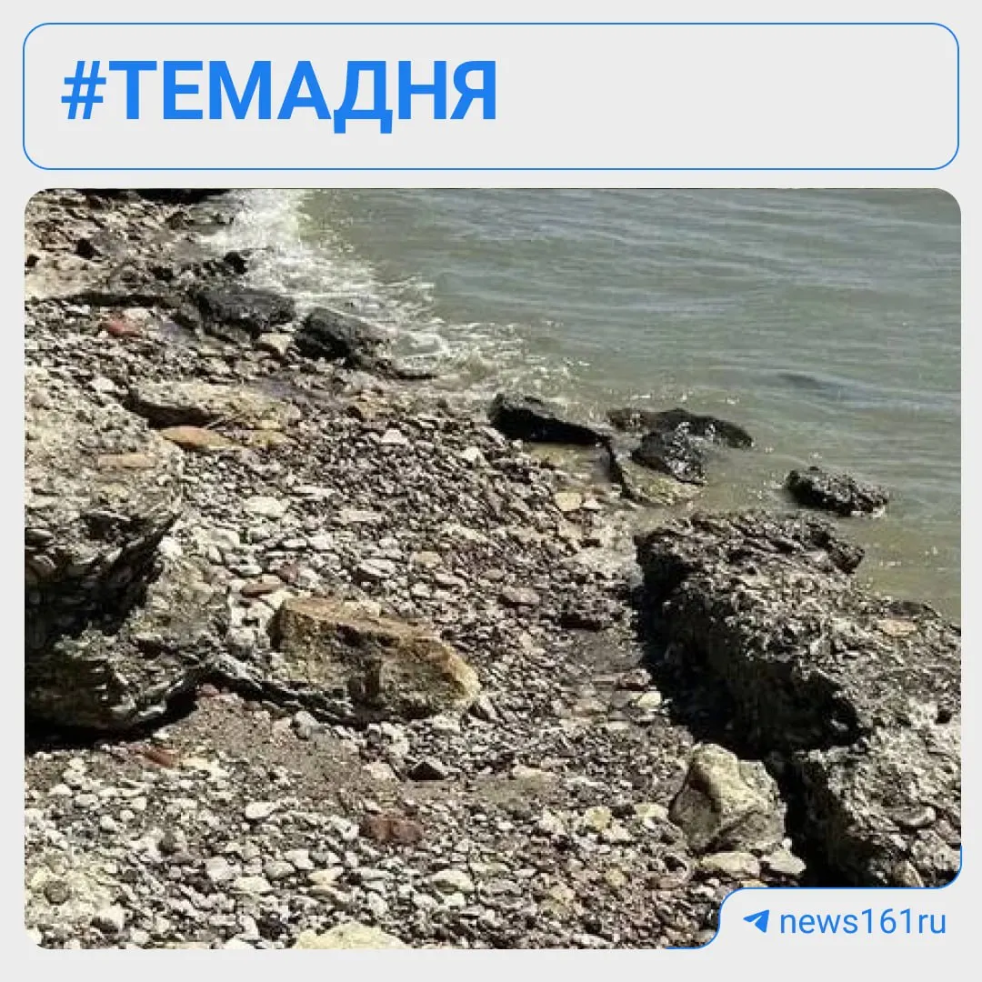 Жители Таганрога сообщают о мазутных следах на побережье и в зелёных зонах, в соцсетях появились видеокадры. Комиссия обследовала береговую полосу, нефтяных пятен и гибели рыбы не обнаружили; официальных ответов от ведомств пока нет.