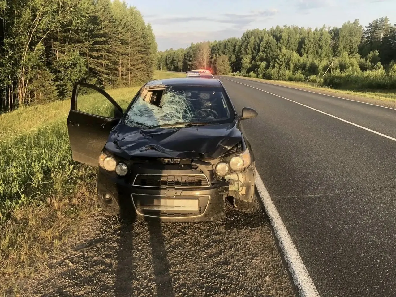 5 июля на 485 км трассы «Кострома — Шарья — Киров — Пермь» водитель Chevrolet Aveo совершил наезд на лося; 24‑летняя пассажирка получила травмы.
