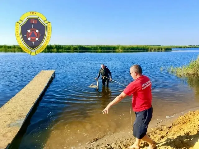Днем 2 июля в рабочем посёлке Новониколаевский 16‑летний молодой человек утонул на глазах у родителей; обстоятельства происшествия уточняются.