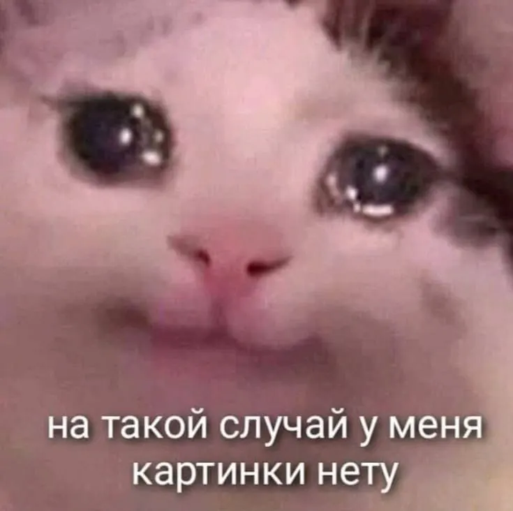 Руководство попыталось потребовать несколько миллионов за разбитую служебную Toyota, но суд отказал: пропущен срок, а у водителя есть тяжелые семейные обстоятельства; в ДТП 2023 года погибли двое.