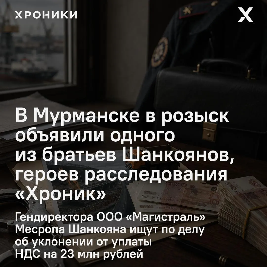 Следствие утверждает, что с 2021 по 2024 год директор вносил ложные сведения в налоговые декларации, что привело к уклонению от уплаты НДС более чем на 23 млн рублей; его местонахождение неизвестно.