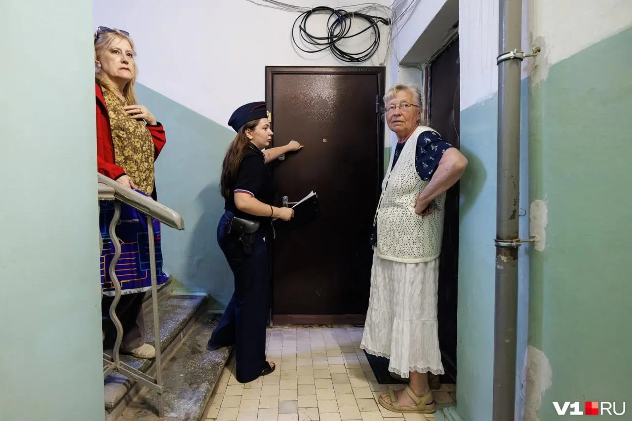 В обычной квартире в центре Волгограда скопилось не меньше сотни кошек. Соседи жалуются на запах, а хозяйка утверждает, что приюты и волонтёры оставили её одну со сложившейся проблемой.
