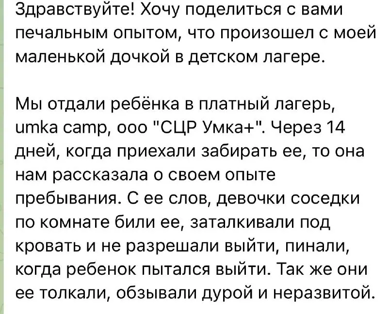 Уголовное дело открыто после сообщений о том, что семилетнюю воспитанницу в лагере избивали и травили дети старшего возраста, а руководство не приняло мер для её безопасности.