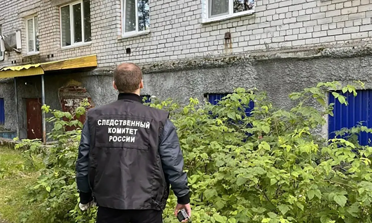 В поселке Надвоицы пенсионер упал из окна квартиры, его доставили в больницу, где он умер. Следователи проводят проверку, назначена судебно-медицинская экспертиза.
