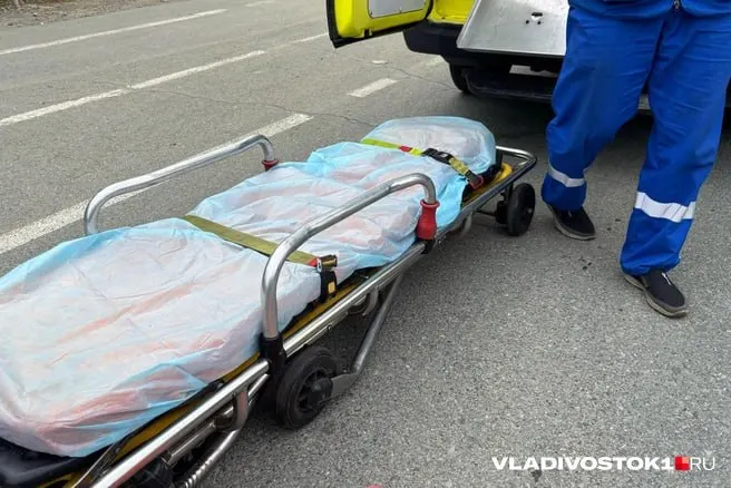 В доме на улице Леонова с 30 июня 2024 года не работают все четыре лифта. Жильцы верхних этажей, особенно пожилые, семьи с детьми и люди с ограниченными возможностями, оказались отрезаны от нормальной жизни. Следственный комитет проводит проверку по ст. 238 УК РФ; коммунальщики связывают отключение с дефектами при строительстве, началось судебное разбирательство.