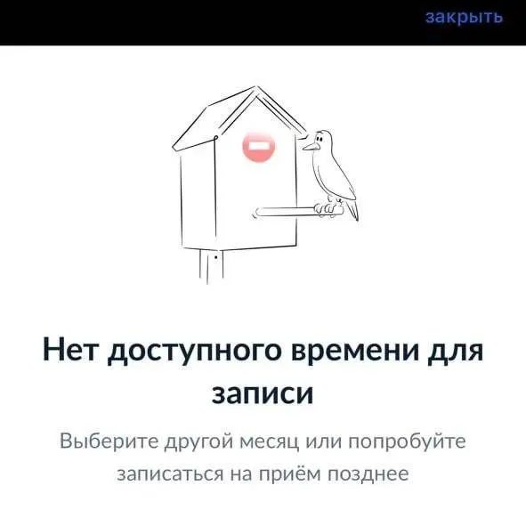 Москвичи массово жалуются, что не могут записаться на приём для оформления заграничных паспортов — система не показывает доступных слотов, в других регионах подобных проблем не фиксируется.