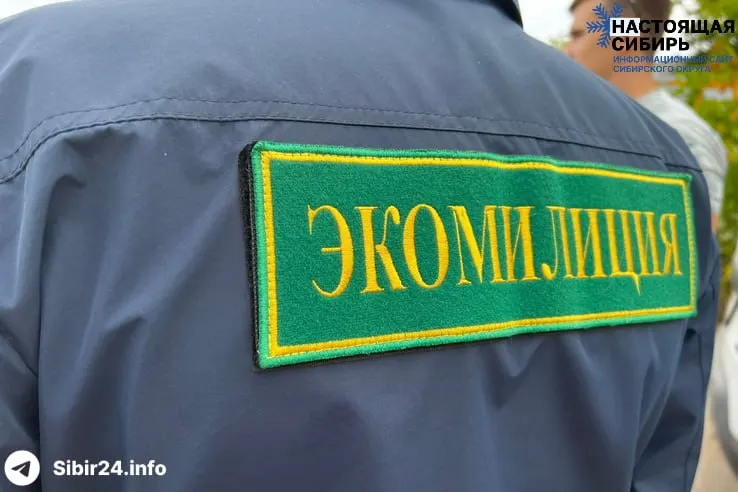 Ректор НГАСУ Юрий Сколубович предложил создать в регионе специализированный орган для контроля за охраной окружающей среды. Ранее в Новосибирске уже существовало подобное подразделение, но оно было упразднено после проверки.
