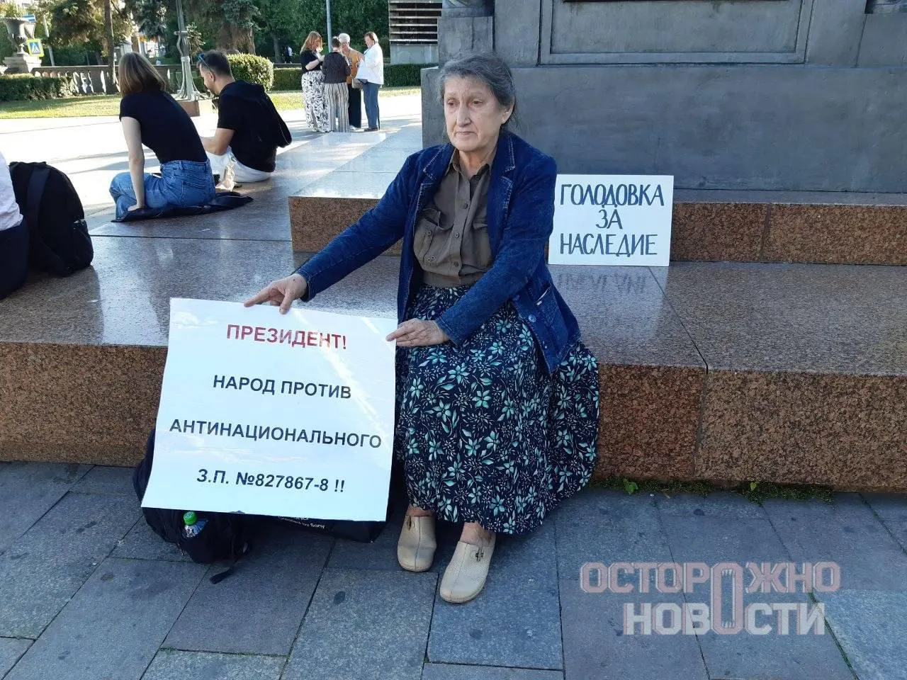 Наталью Шамину задержали дважды во время пикетов в центре Москвы; после последнего задержания её перевели из отдела полиции в психиатрическую больницу. Активистка объявила голодовку в знак протеста против закона, позволяющего регионам исключать объекты культурного наследия из реестра.