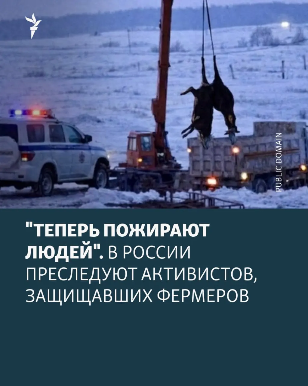 Задержание активистки по подозрению в призывах к терроризму вызывает вопросы о защите местных фермеров и местной общественности.
